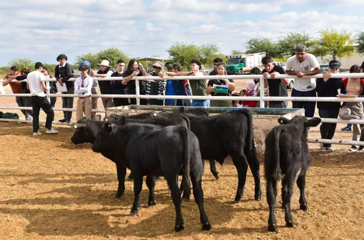 680bef9f79192_738_487!